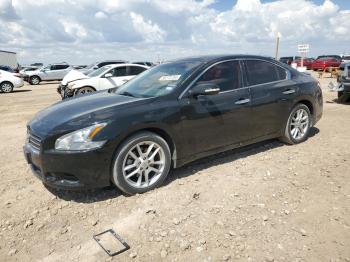  Salvage Nissan Maxima