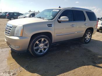  Salvage Cadillac Escalade