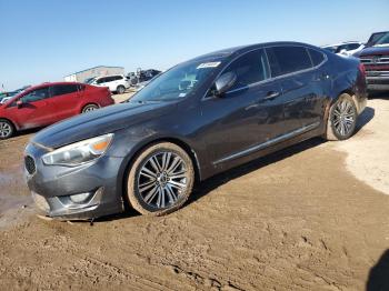  Salvage Kia Cadenza