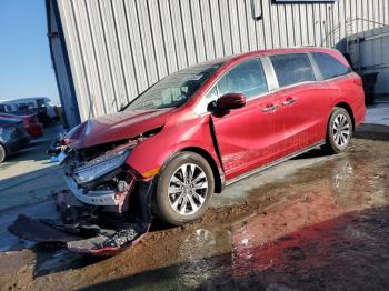  Salvage Honda Odyssey