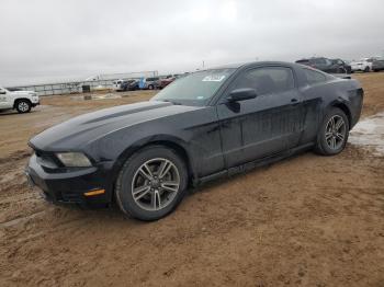  Salvage Ford Mustang