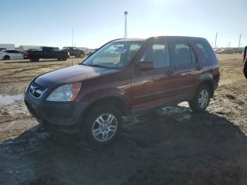  Salvage Honda Crv