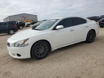  Salvage Nissan Maxima