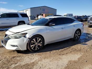  Salvage Nissan Maxima