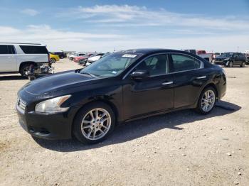  Salvage Nissan Maxima