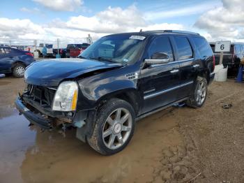  Salvage Cadillac Escalade