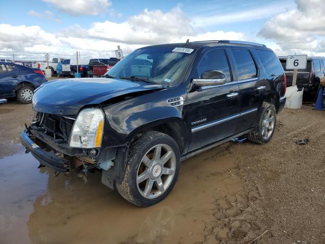 Salvage Cadillac Escalade