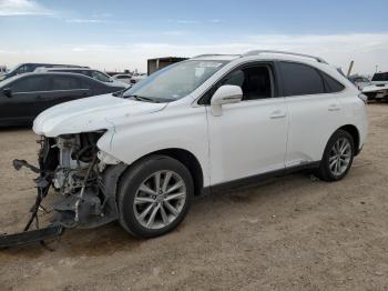  Salvage Lexus RX