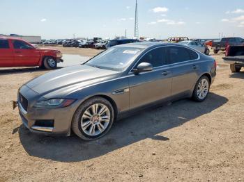  Salvage Jaguar XF
