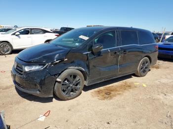  Salvage Honda Odyssey