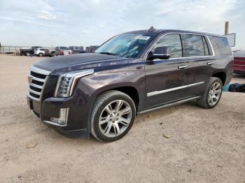 Salvage Cadillac Escalade
