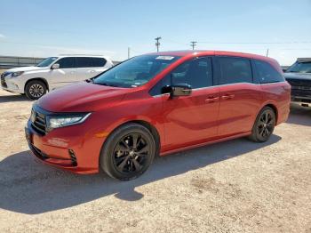  Salvage Honda Odyssey