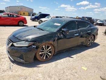  Salvage Nissan Maxima
