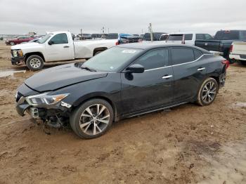  Salvage Nissan Maxima