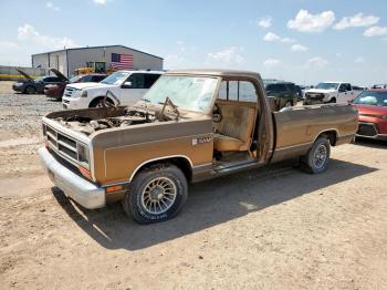  Salvage Dodge D Series
