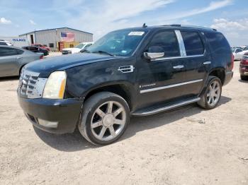  Salvage Cadillac Escalade
