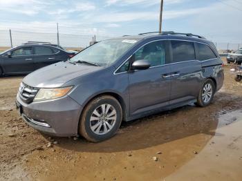  Salvage Honda Odyssey