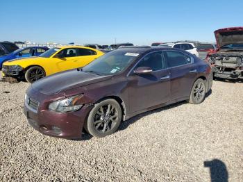  Salvage Nissan Maxima