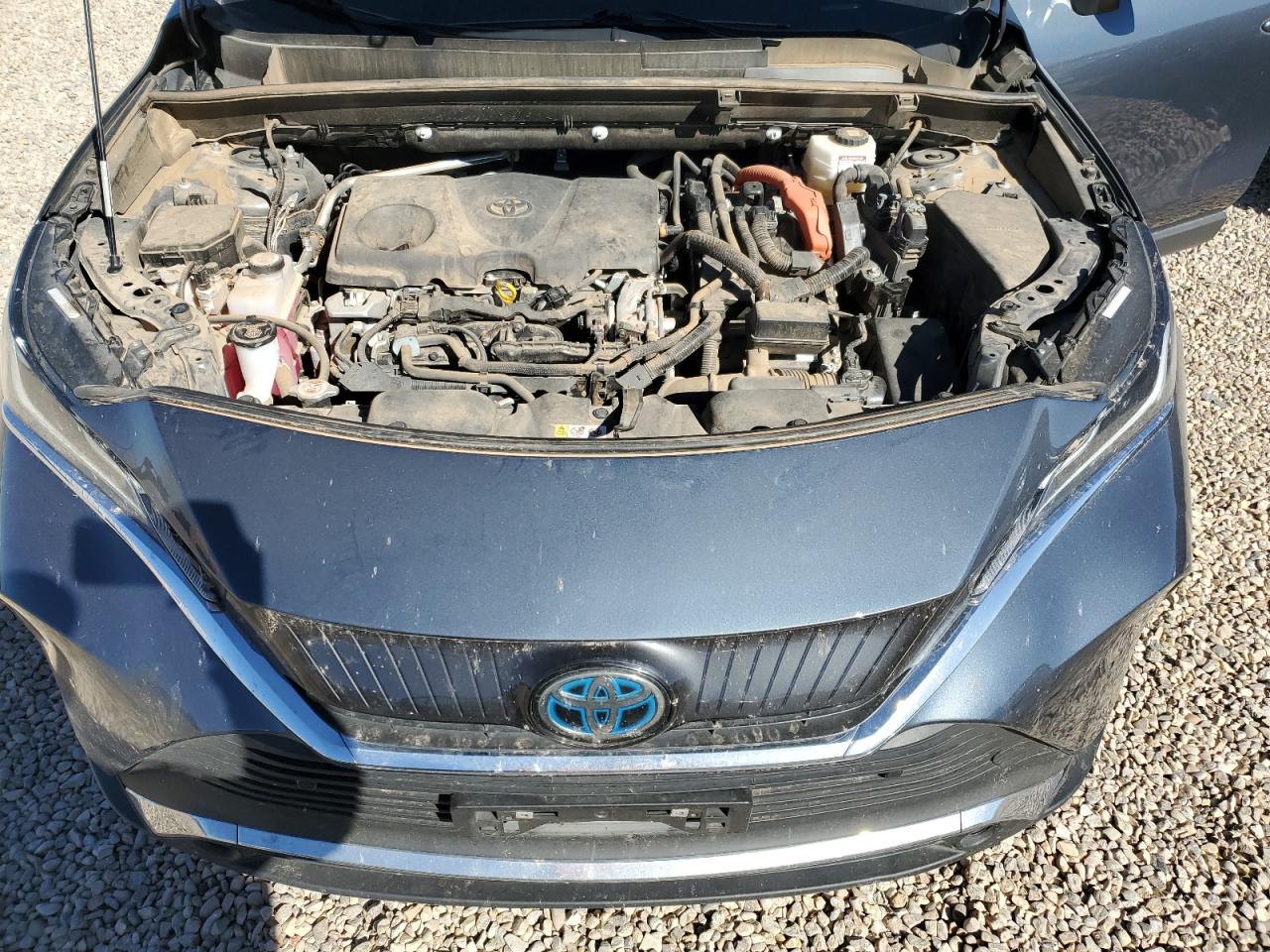 Toyota Venza Le Image 13