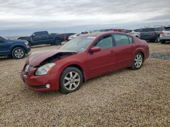  Salvage Nissan Maxima
