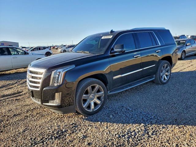  Salvage Cadillac Escalade