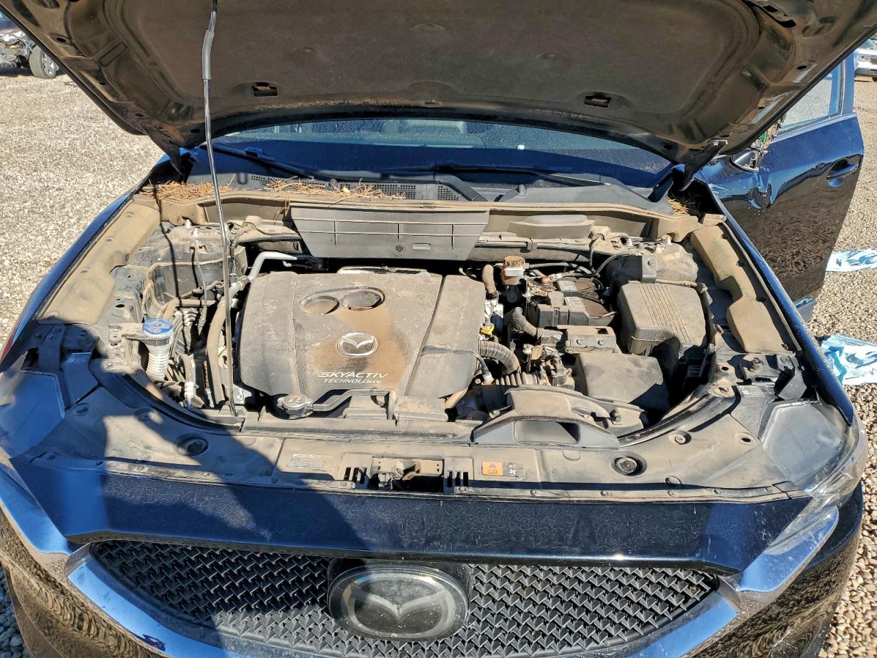 Mazda Cx Sport Image 13