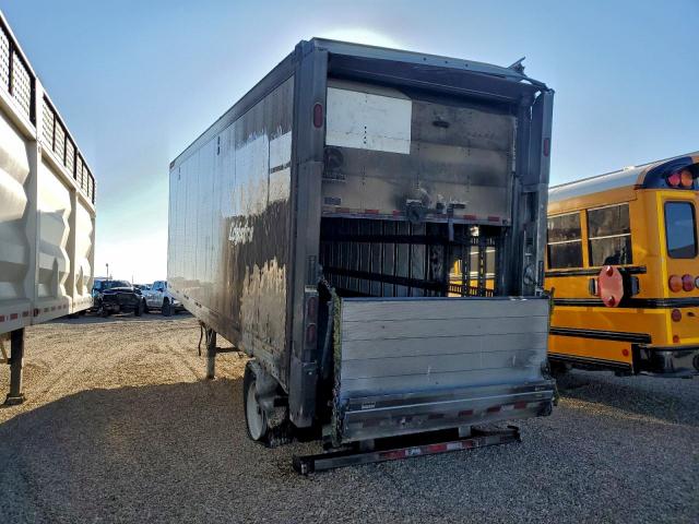 Great Dane Other Image 3