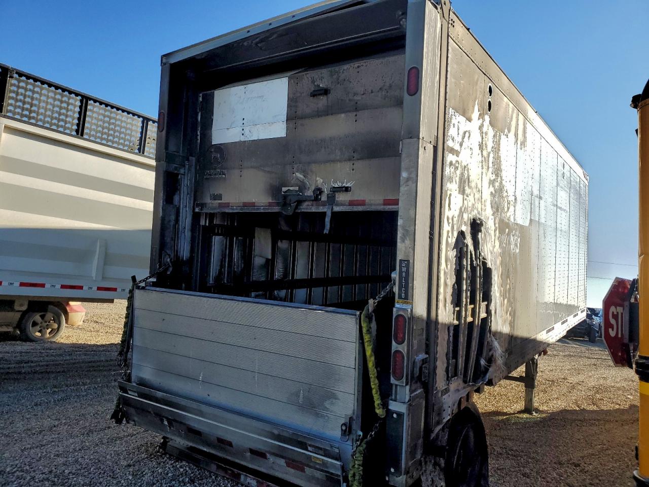 Great Dane Other Image 8