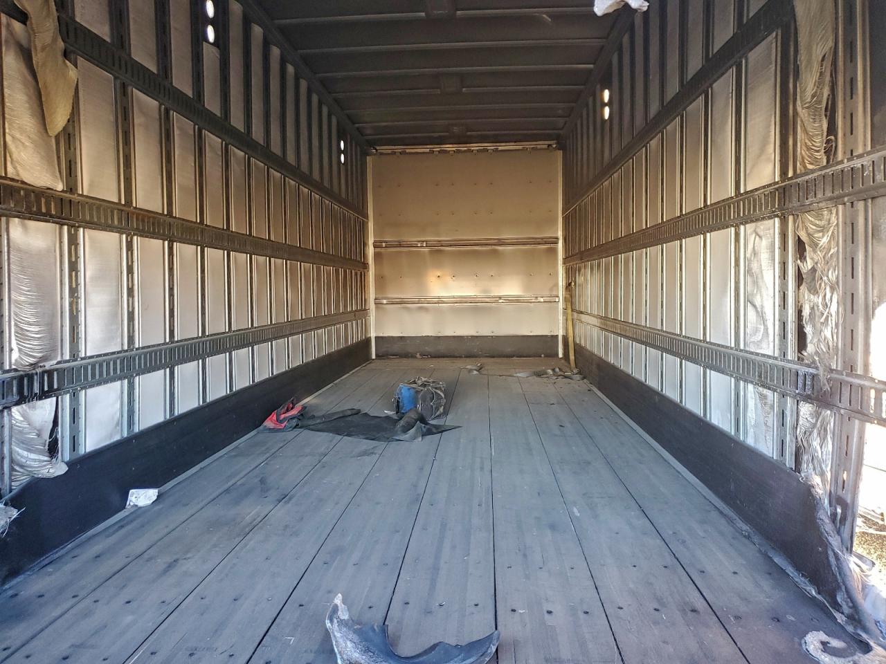 Great Dane Other Image 2