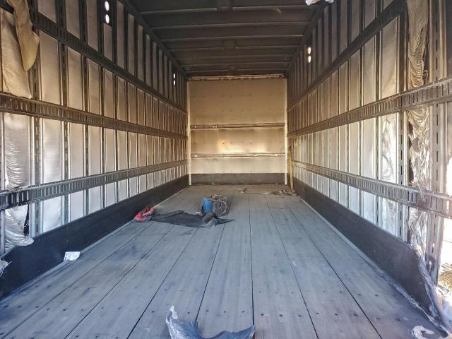 Great Dane Other Image 7