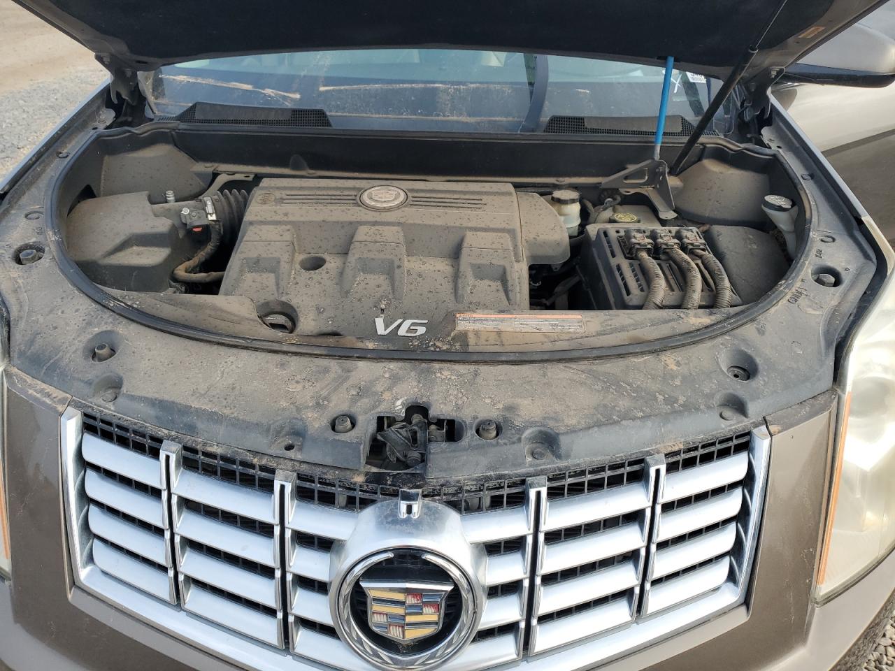 Cadillac SRX Luxury Collection Image 12