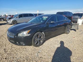  Salvage Nissan Maxima