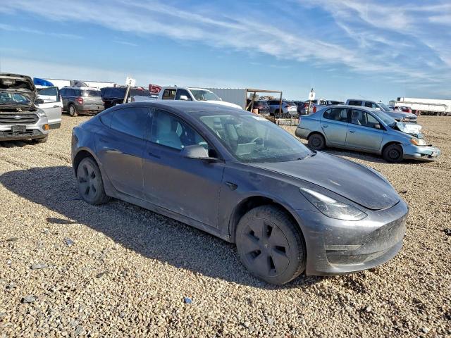 Tesla Model 3 Image 12
