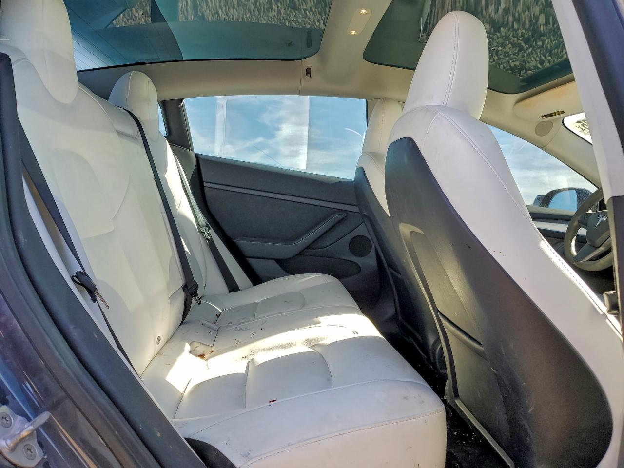 Tesla Model 3 Image 7