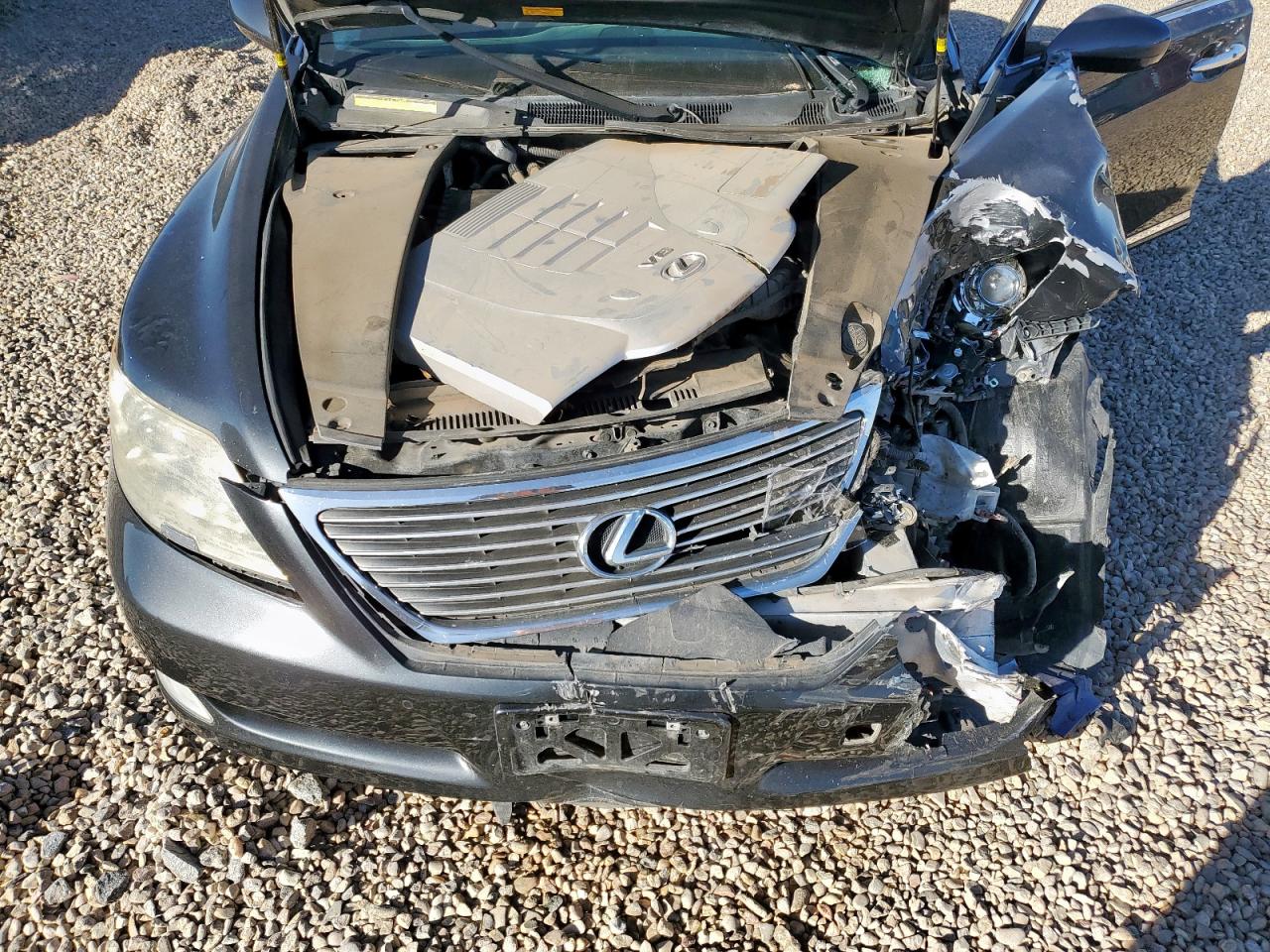 Lexus LS 460 Image 11